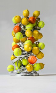 Lemon Tree                                                                           