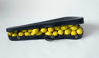 Lemon Case                                                                            