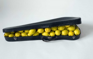 image lemon case