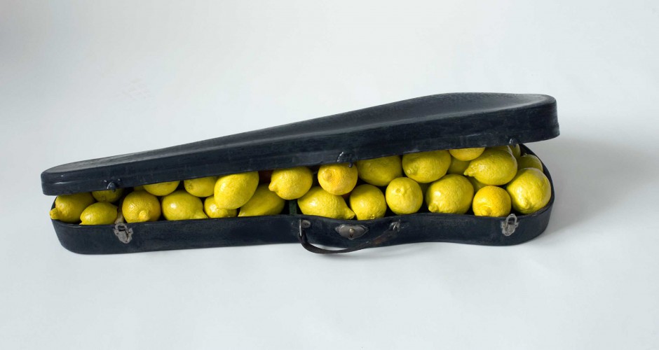 image lemon case